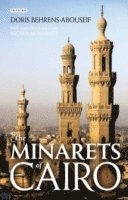 The Minarets of Cairo 1