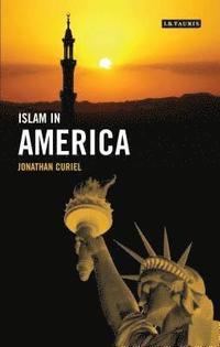 bokomslag Islam in America