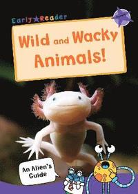 bokomslag Wild and Wacky Animals