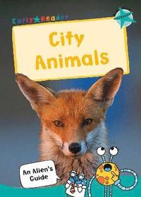 bokomslag City Animals