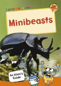bokomslag Minibeasts