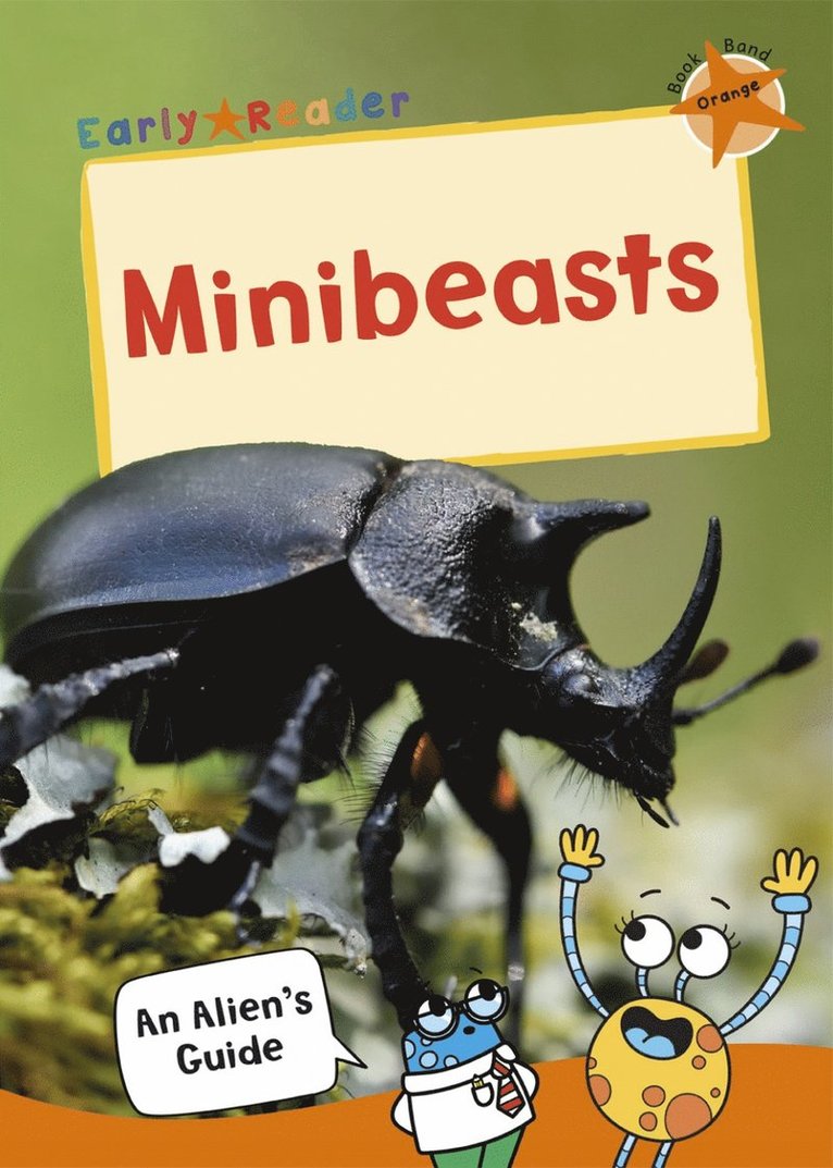 Minibeasts