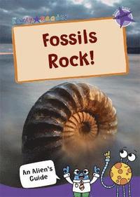 bokomslag Fossils Rock!