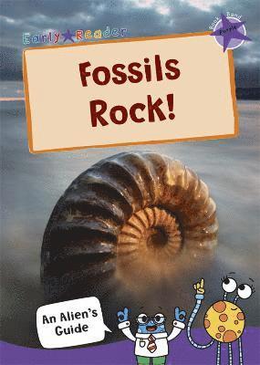 bokomslag Fossils Rock!