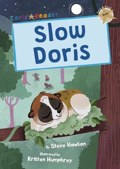 Steve Howson - Slow Doris, Häftad