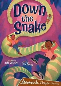 bokomslag Down the Snake