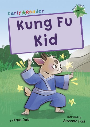 bokomslag Kung Fu Kid