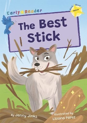 bokomslag The Best Stick