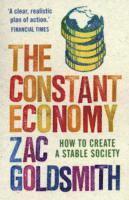 bokomslag The Constant Economy