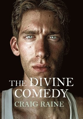 bokomslag The Divine Comedy