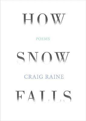 How Snow Falls