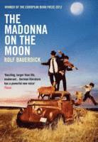 The Madonna on the Moon 1