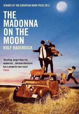 bokomslag Madonna on the Moon
