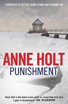 bokomslag Punishment