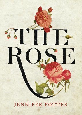 The Rose 1