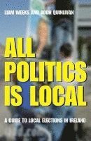 All Politics Is Local: A Guide to Local Elections in Ireland