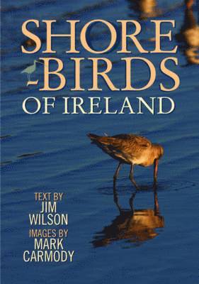 SHOREBIRDS OF IRELAND