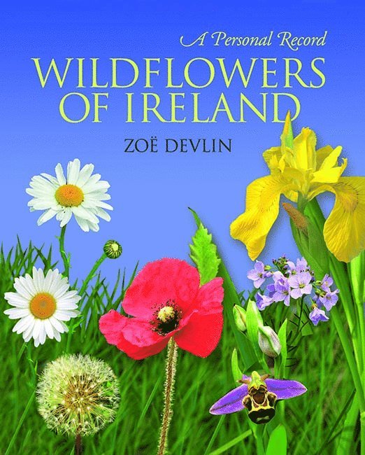 Wildflowers of Ireland