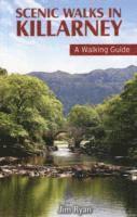 Scenic Walks in Killarney