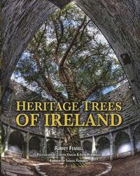 bokomslag Heritage Trees of Ireland