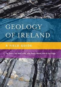 bokomslag Geology of Ireland