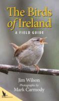bokomslag The Birds of Ireland