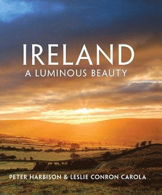 bokomslag Ireland - A Luminous Beauty