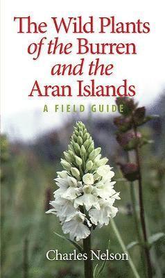 The Wild Plants of the Burren & the Aran Islands 1