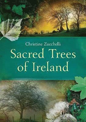 Christine Zucchelli - Sacred Trees of Ireland, Häftad