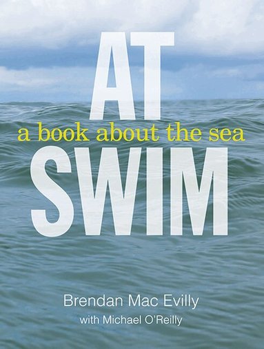 Brendan Mac Evilly, Michael O'Reilly - At Swim, Häftad