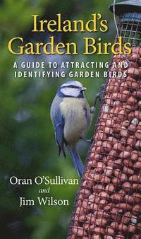 bokomslag Ireland's Garden Birds