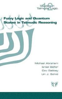 bokomslag Fuzzy Logic and Quantum States in Talmudic Reasoning