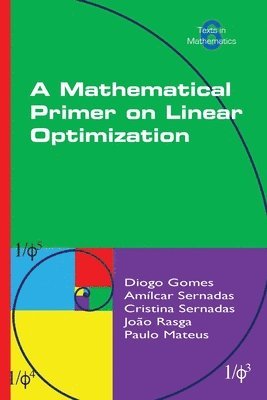 Diogo Gomes, Amilcar Sernadas, Cristina Sernadas - Mathematical Primer on Linear Optimization, Häftad