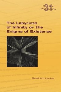 bokomslag The Labyrinth of Infinity or the Enigma of Existence