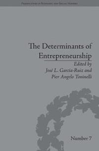 bokomslag The Determinants of Entrepreneurship