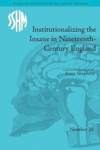 bokomslag Institutionalizing the Insane in Nineteenth-Century England