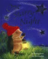 One Starry Night