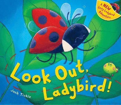 Look Out, Ladybird! 1