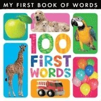 LITTLE TIGER PRESS - My First Book of Words: 100 First Words, Kartonnage