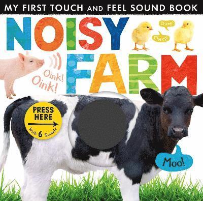 Noisy Farm 1