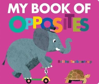 bokomslag My Book of Opposites