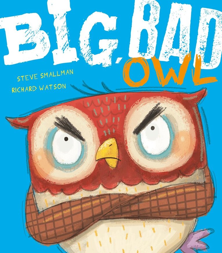 Steve Smallman - Big, Bad Owl, Häftad