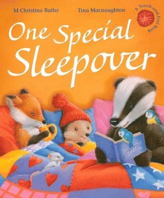 One Special Sleepover