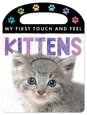 My First Touch and Feel: Kittens 1