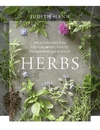 bokomslag Herbs