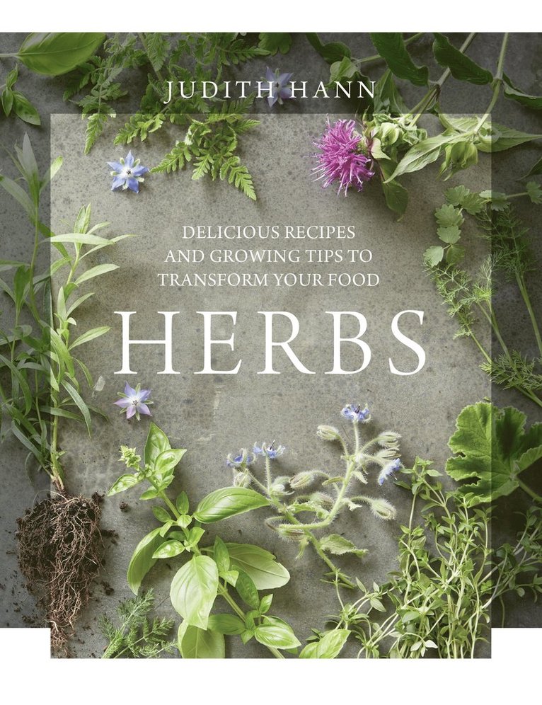 Herbs 1