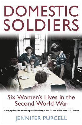 Domestic Soldiers 1