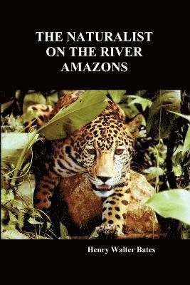 Naturalist on the River Amazons