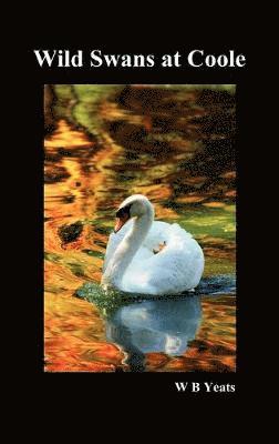 bokomslag Wild Swans at Coole