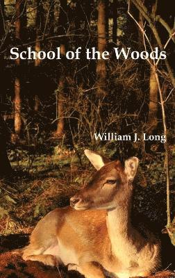 bokomslag School of the Woods